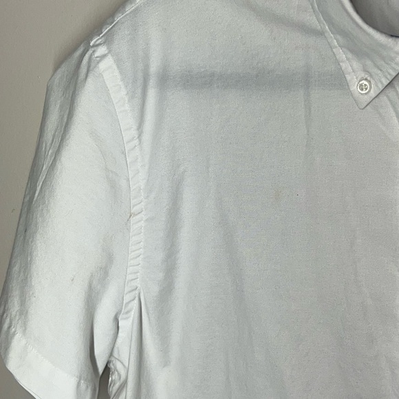 Crown & Ivy - Picture 5 of 5